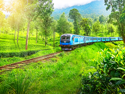 Nuwara Eliya in Sri Lanka