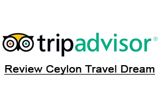 Tours in Sri Lanka