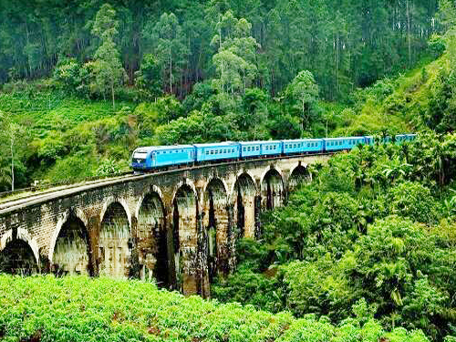 Ella Highlands Day Tour From Arugam Bay