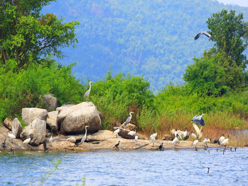 Gal Oya National Park Boat Safari Tour From Arugam Bay