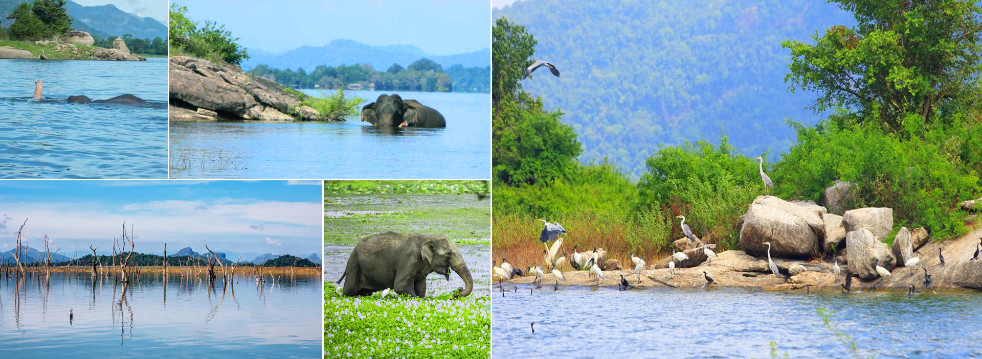 Gal Oya National Park Boat Safari Tour From Passikudah