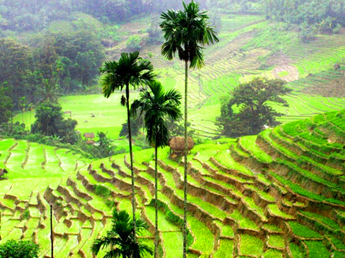 Heel Oya Village Tour From Kandy