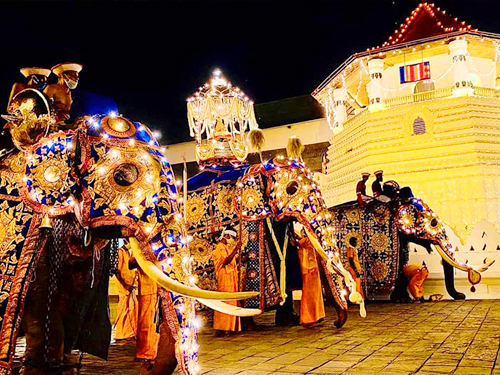 Kandy Esala Perahera Experience Tour From Arugam Bay