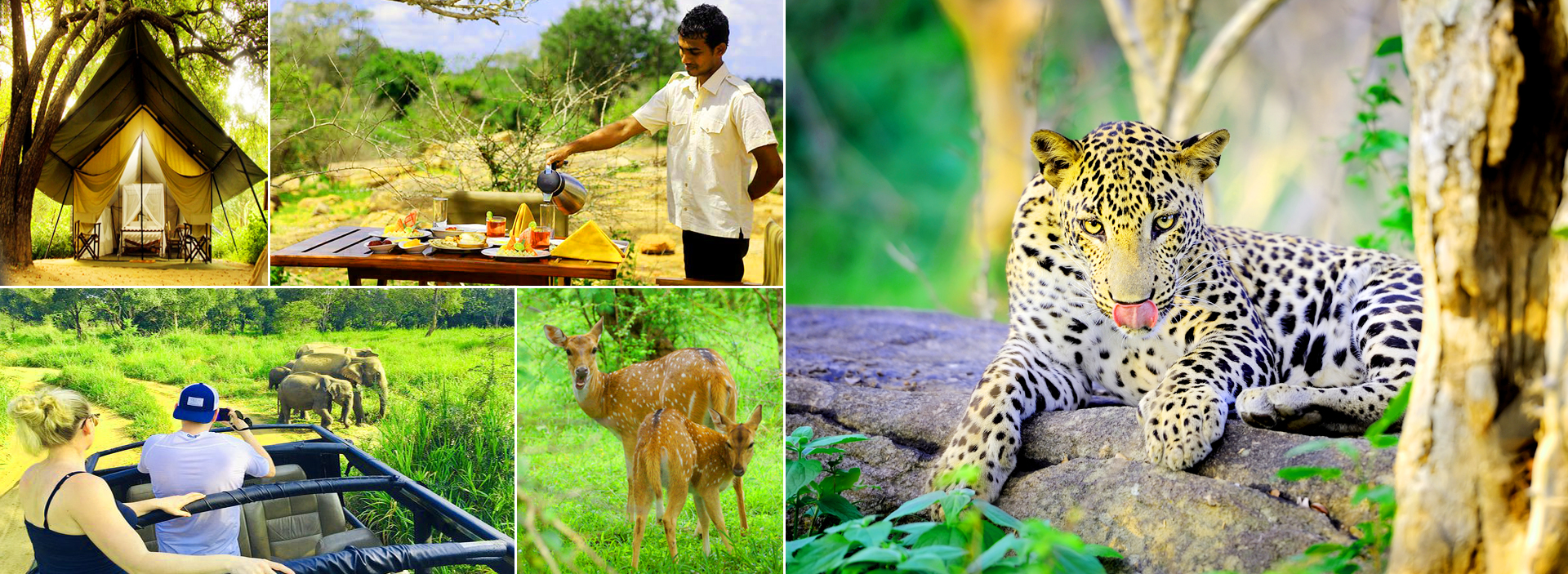 Panama Crocodile Rock & Lagoon Safari Tour From Arugam Bay
