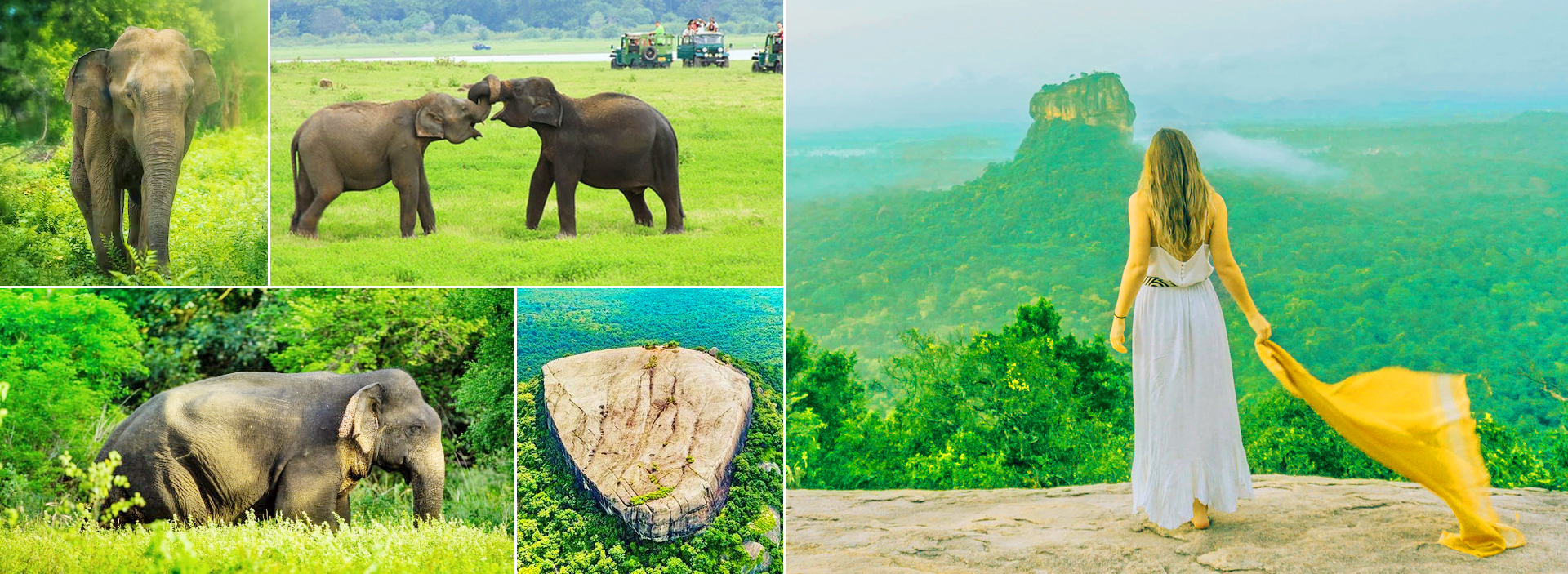 Sri Lanka Minneriya National Park & Pidurangala Rock