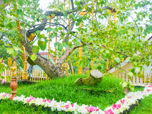 Anuradhapura Day Tours