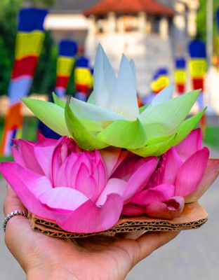 Kandy Day Tours in Sri Lanka