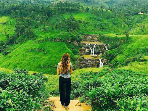 Nuwara Eliya Day Tours