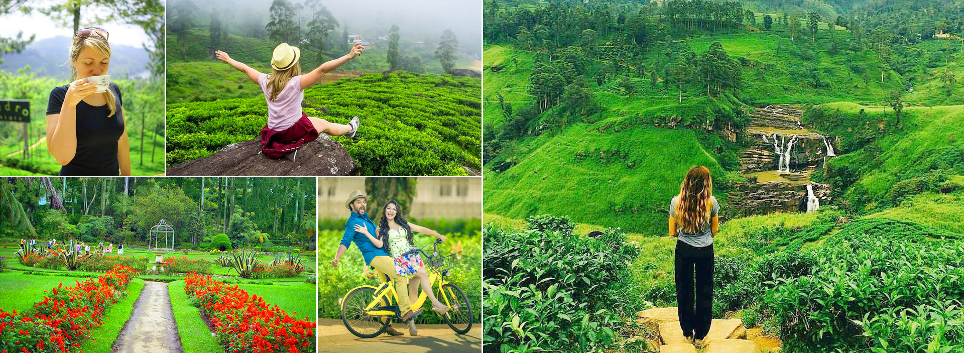 Nuwara Eliya Day Tours in Sri Lanka