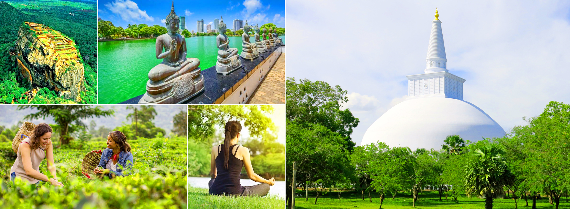 Sri Lanka Day Tours