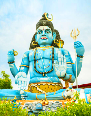 Trincomalee Day Tours in Sri Lanka