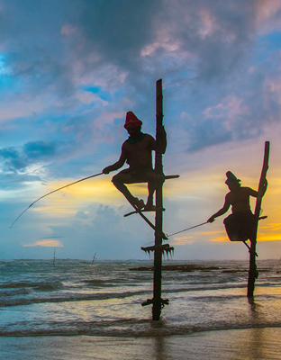 Waligama Day Tours in Sri Lanka