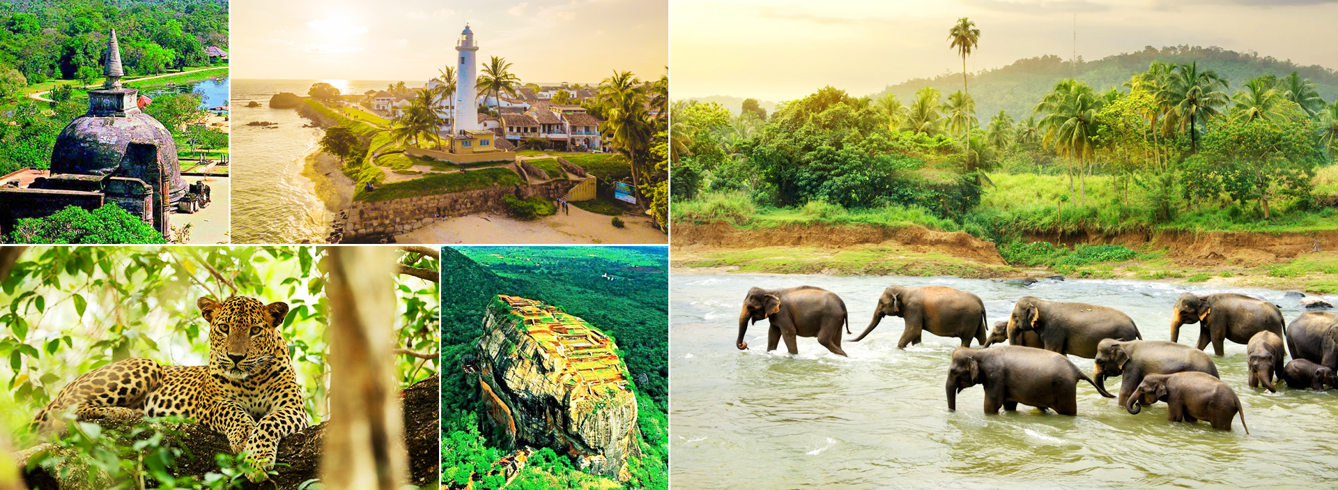 Sri Lanka Highlights