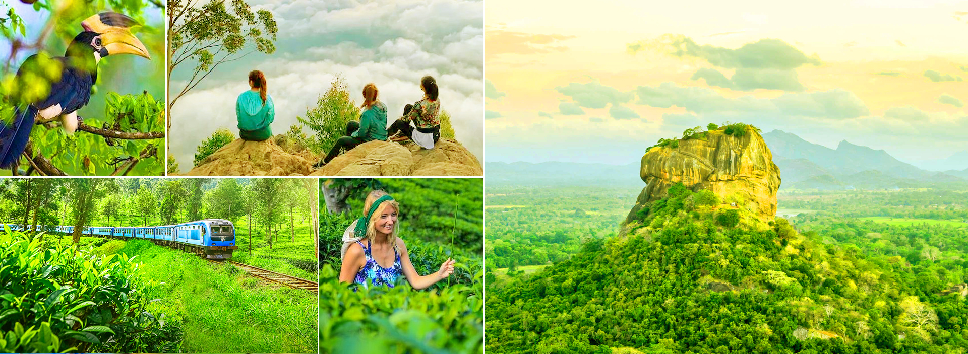 Expedición de vida silvestre y naturaleza en Sri Lanka