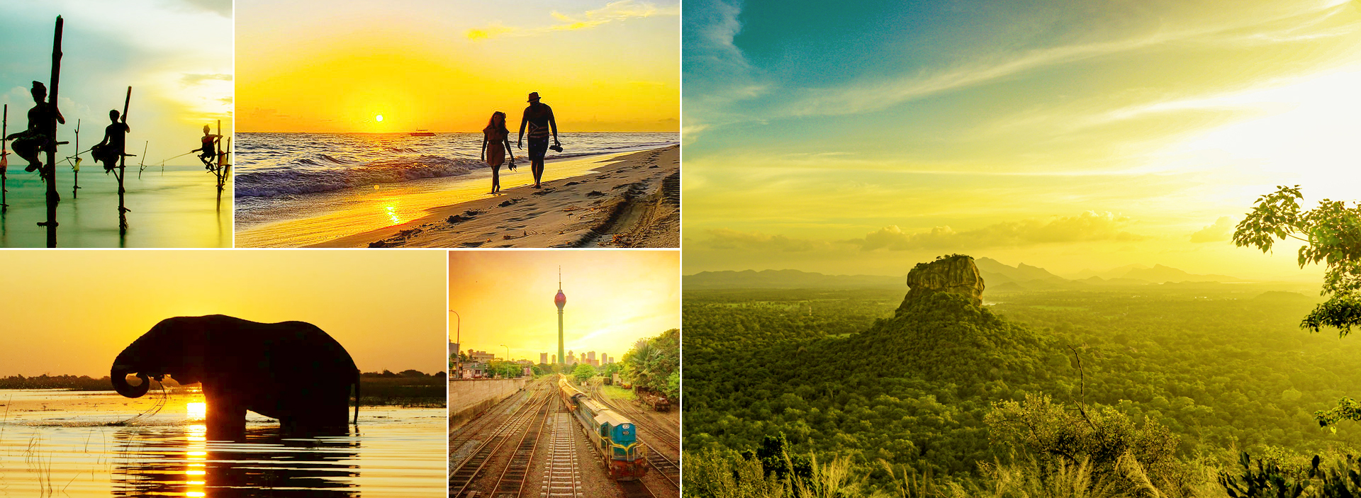 Spedizione tra spiagge meridionali e fauna selvatica