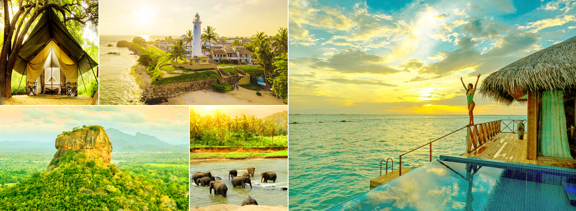 Sri Lanka Language Tours