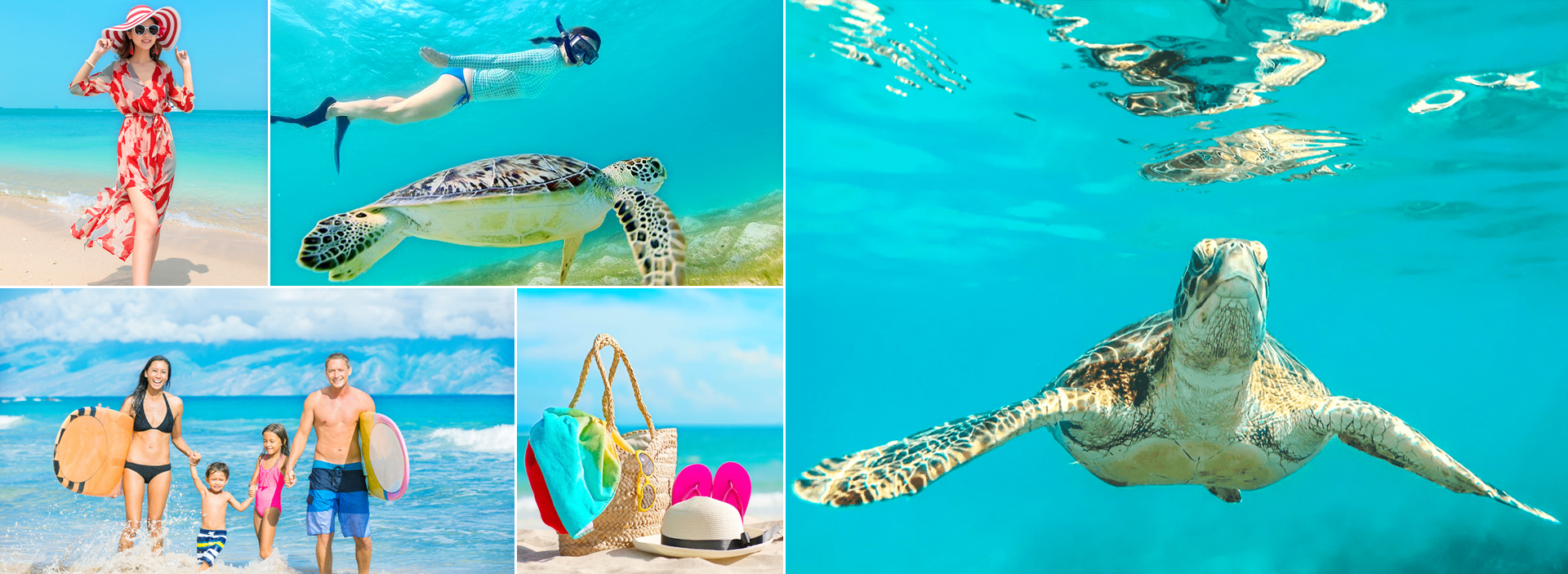 Galle Port Kosgoda Turtle Hatchery Madu River Safari Tour in sri lanka