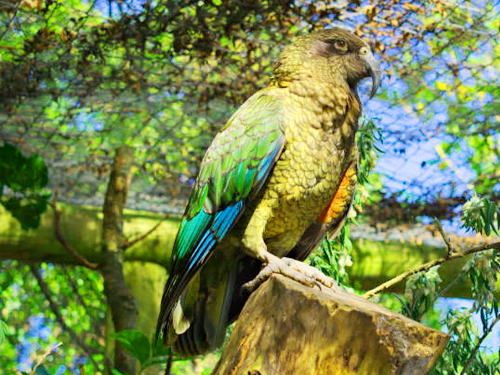Hambantota Port Hambantota Bundala Wetlands Safari Tour