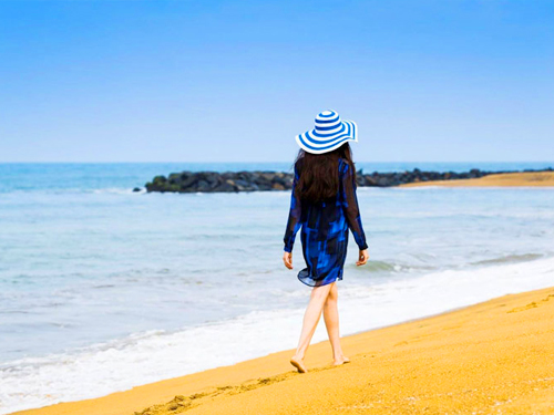 Jaffna Port Casuarina Beach Jaffna Lagoon Tour