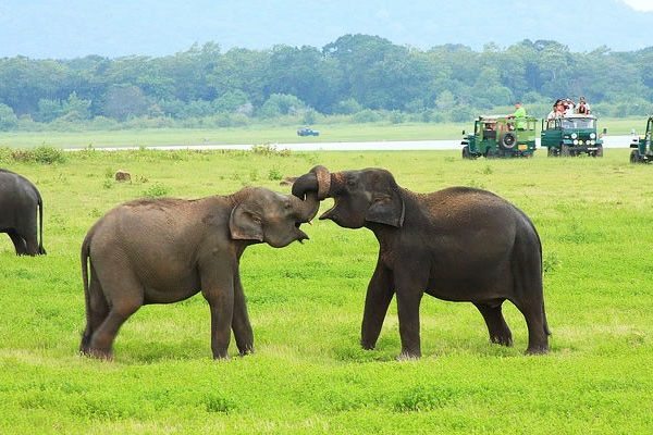 Paisajes y aventuras culturales de Sri Lanka