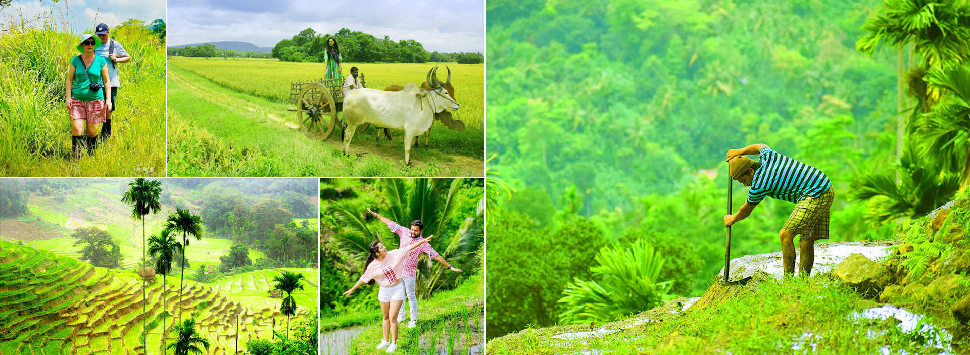 Sri Lanka Wildlife Safari and Rainforest Adventures