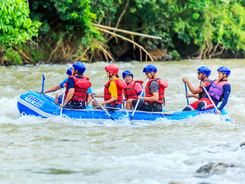 Wildlife Waterfalls and Adventure in sri lanka