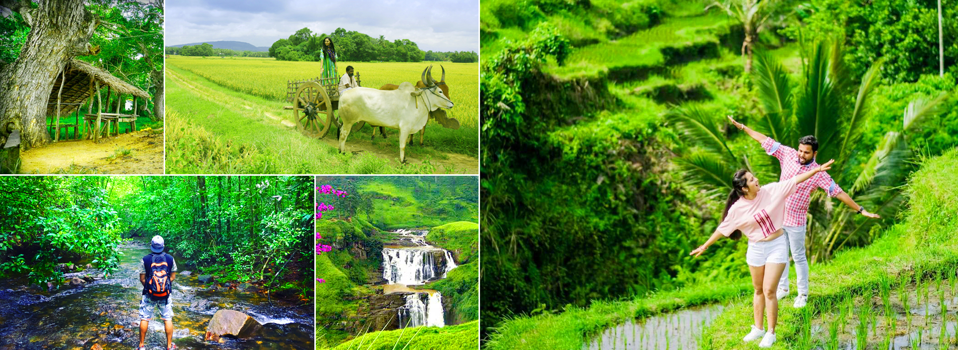 Agricultural & Farming Tours in Sri Lanka