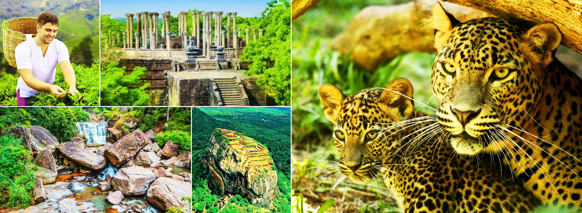 Budget & Backpacker Tours in Sri Lanka