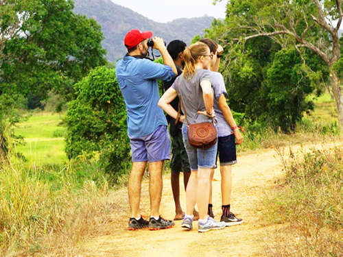Family Classic Tours