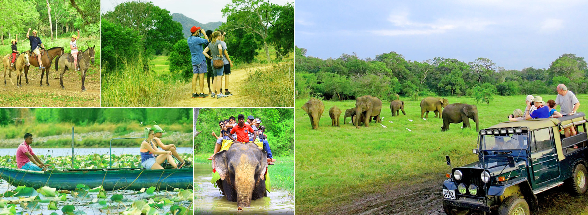 Family Classic Tours in Sri Lanka