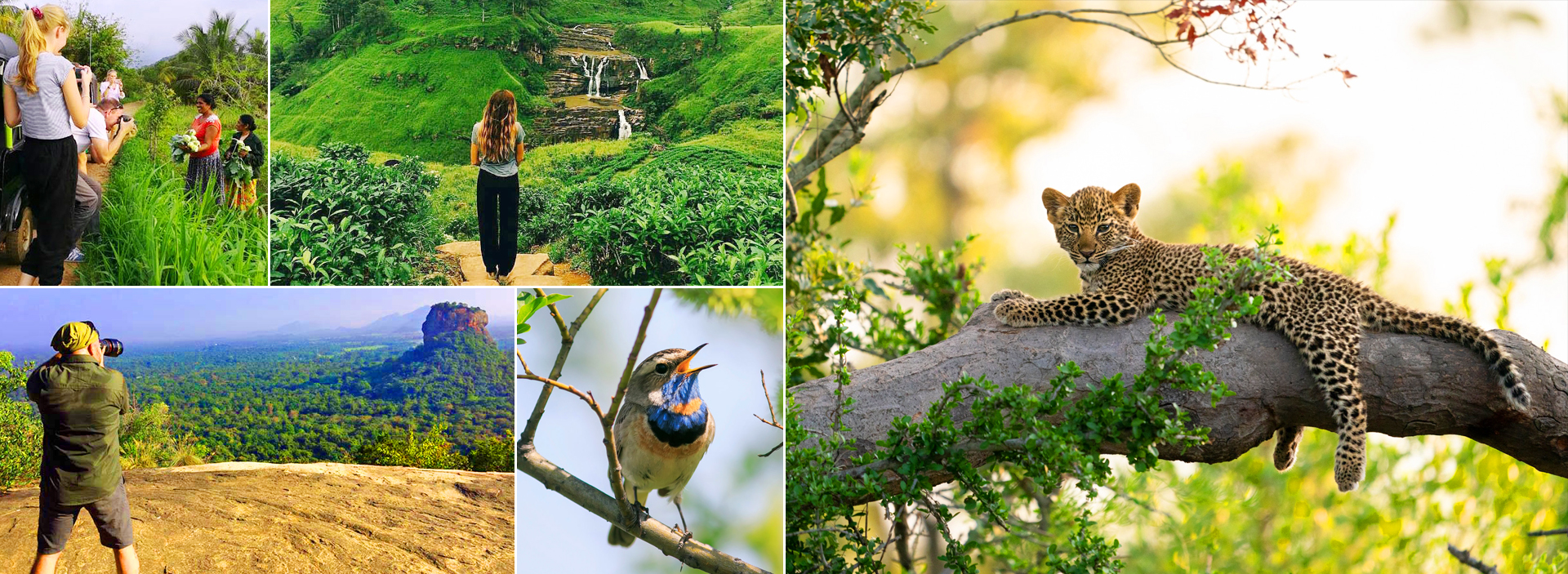 Photography Tours in Sri Lanka