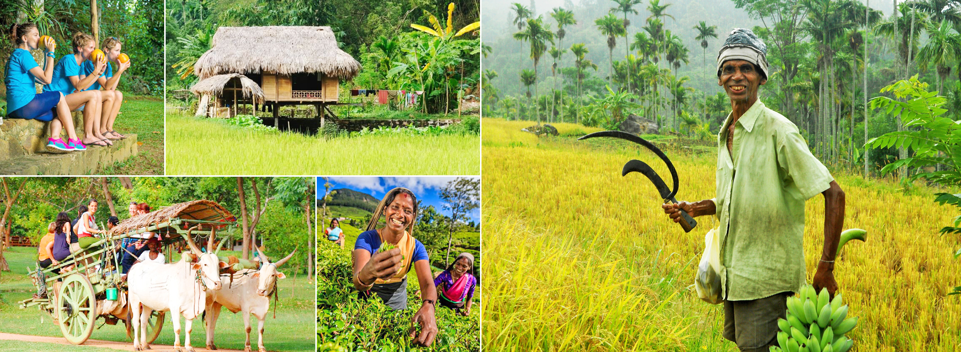 Signature Tours in Sri Lanka