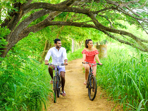 Trekking & Cycling Tours