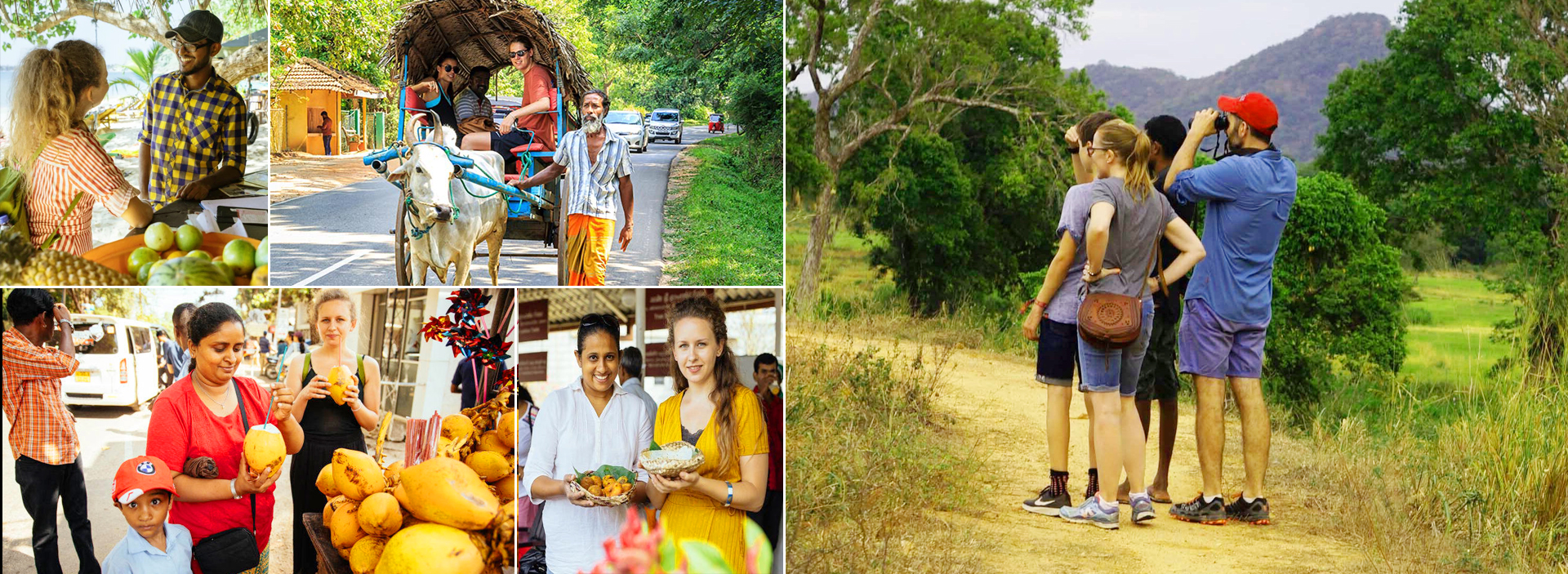 Sri Lanka Travel Guide