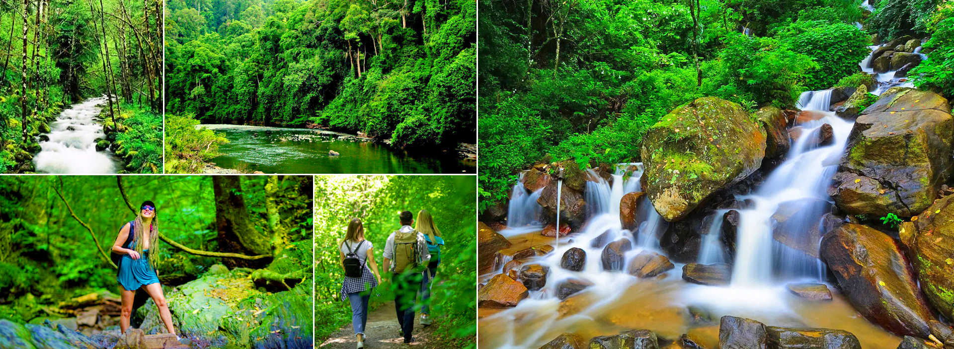 Explore Rainforest in Sri Lanka