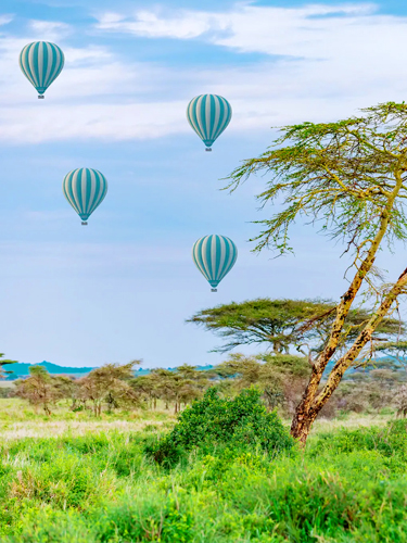 Hot Air Ballooning