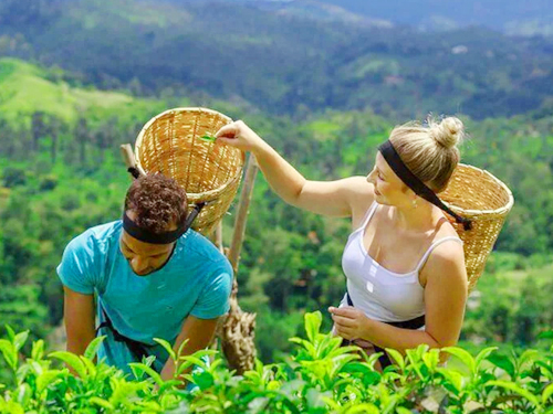 Responsible Tourism in Sri Lanka
