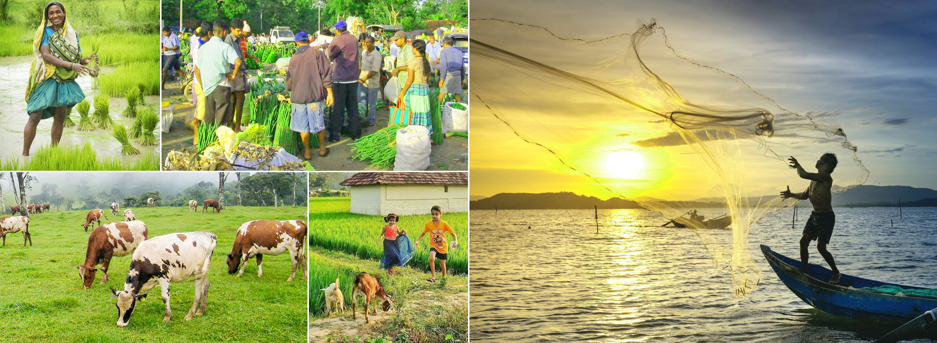 Responsible Tourism in Sri Lanka
