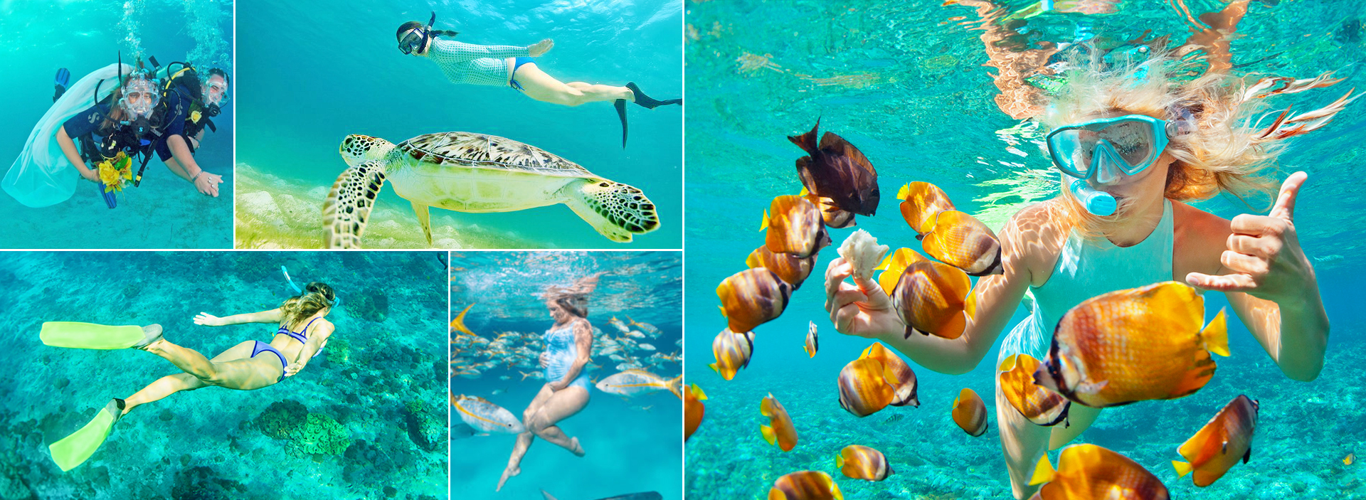 Water Diving in Sri Lanka