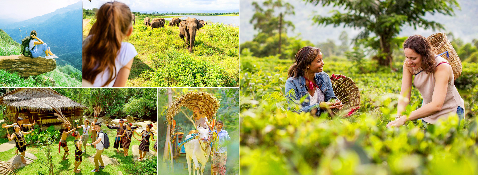 Unique Experiences in Sri Lanka